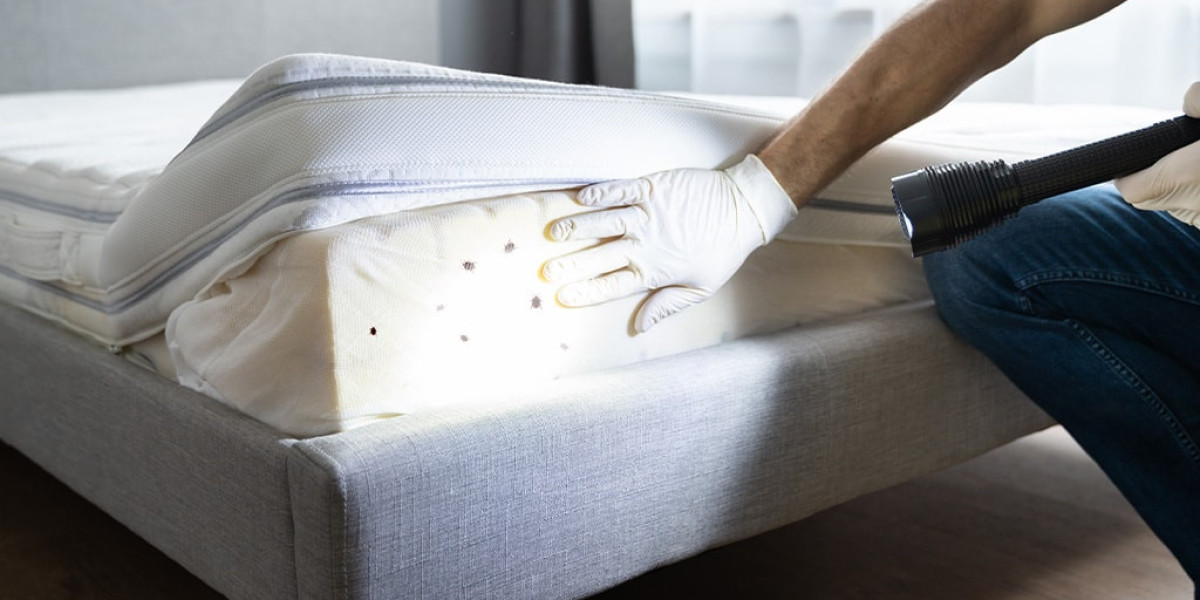 Protecting Your Home From Bedbugs and Termites
